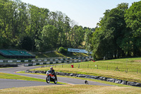 cadwell-park;cadwell-park-photographs;cadwell-trackday-photographs;enduro-digital-images;event-digital-images;eventdigitalimages;peter-wileman-photography;racing-digital-images;trackday-digital-images;trackday-photos